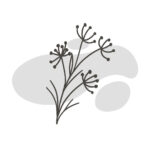 Prenatal Pilates Prenatal Pilates