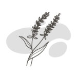 Klinik Pilates Klinik Pilates